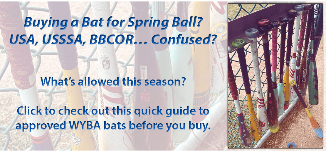 Westmont Youth Little League photo