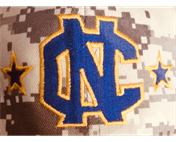 Northern Community Little League Baseball logo