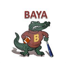 Baker Area Youth Association logo