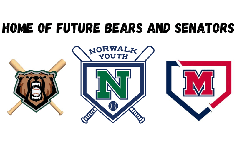 Norwalk Little League photo