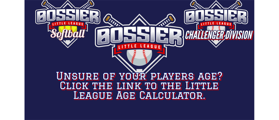 Which Age Division Is My Kid In?