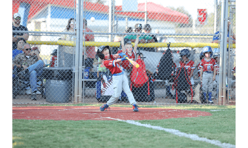 Bossier Little League    photo