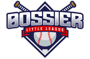 Bossier Little League    hero