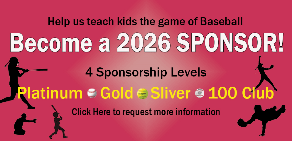Tri County Little League photo