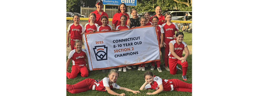 10U Softball All-Stars: Section 2 Champs!