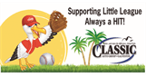 Sponsor logo