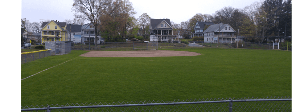 Rotary Field