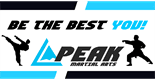 Sponsor logo