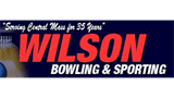 Sponsor logo