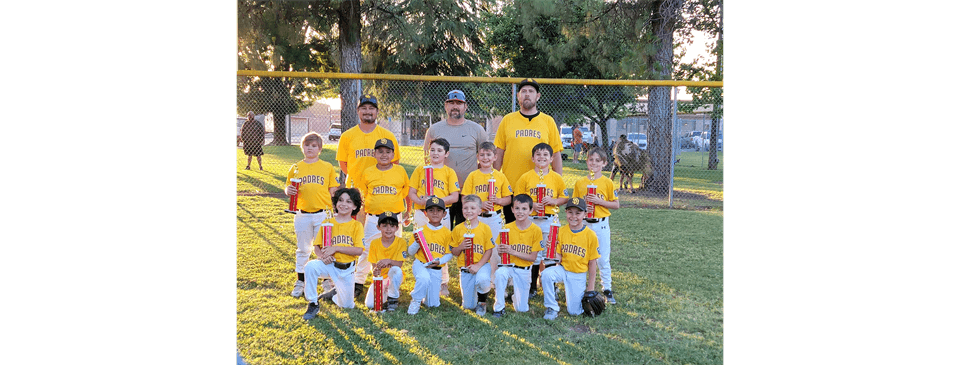 A Champions 2024