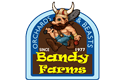 Sponsor logo