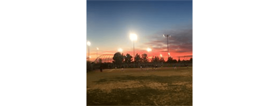 Eastern Fields