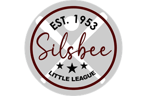 Silsbee Little League hero