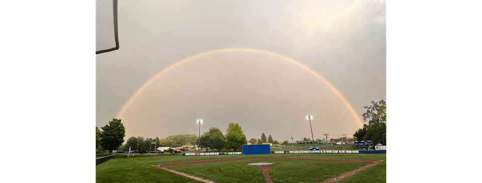 Anna Jarvis Field