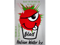 Sponsor logo