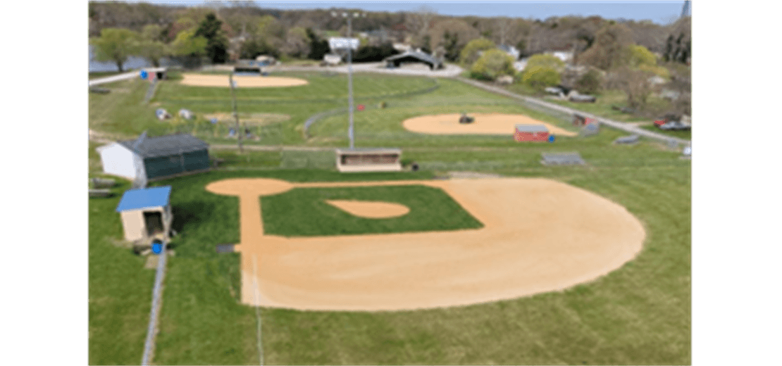 Major Field