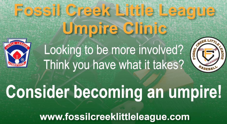 Umpire Clinic