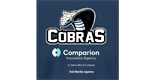 Sponsor logo