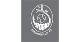 Sponsor logo