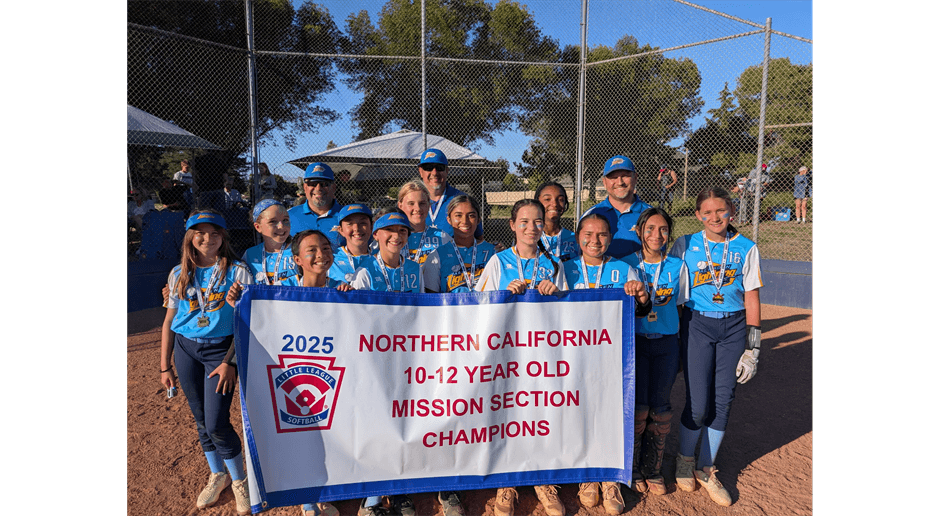 12s Lightning Sectional Champs / 4th in State!