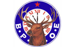 Sponsor logo