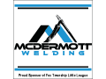 Sponsor logo