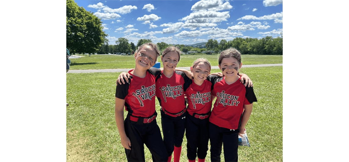 Hellertown Lower Saucon Little League photo