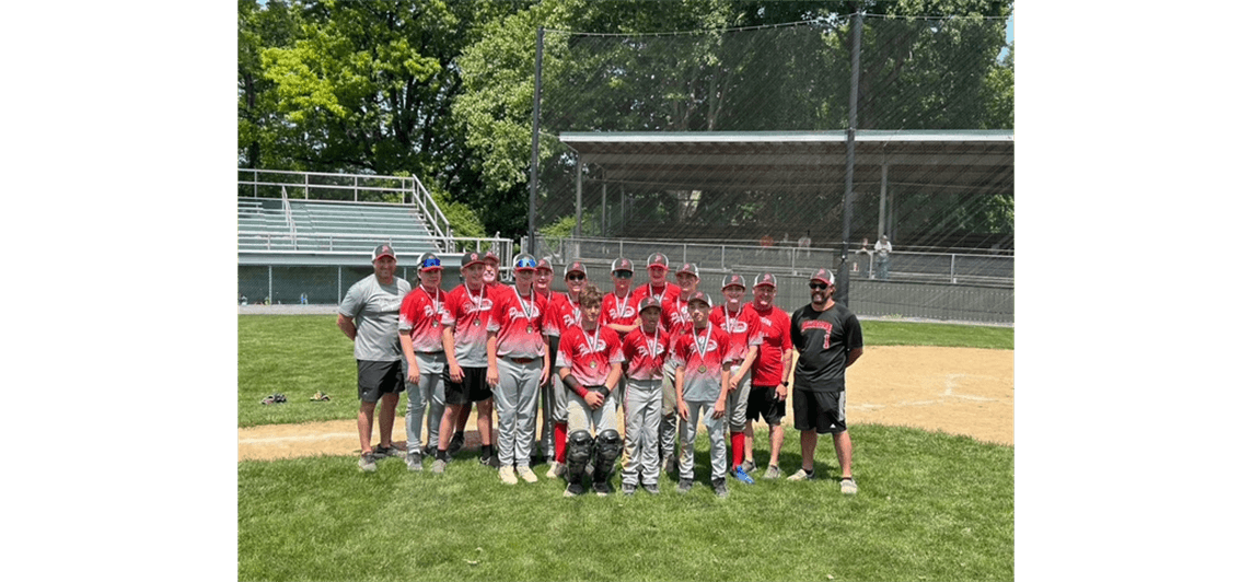 Hellertown Lower Saucon Little League photo