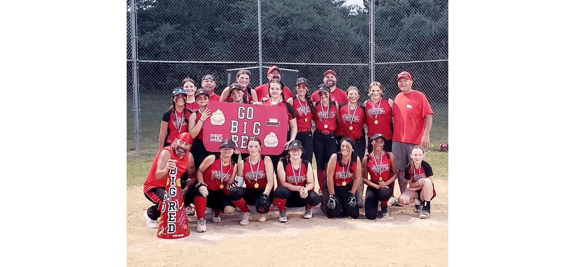 Hellertown Lower Saucon Little League photo