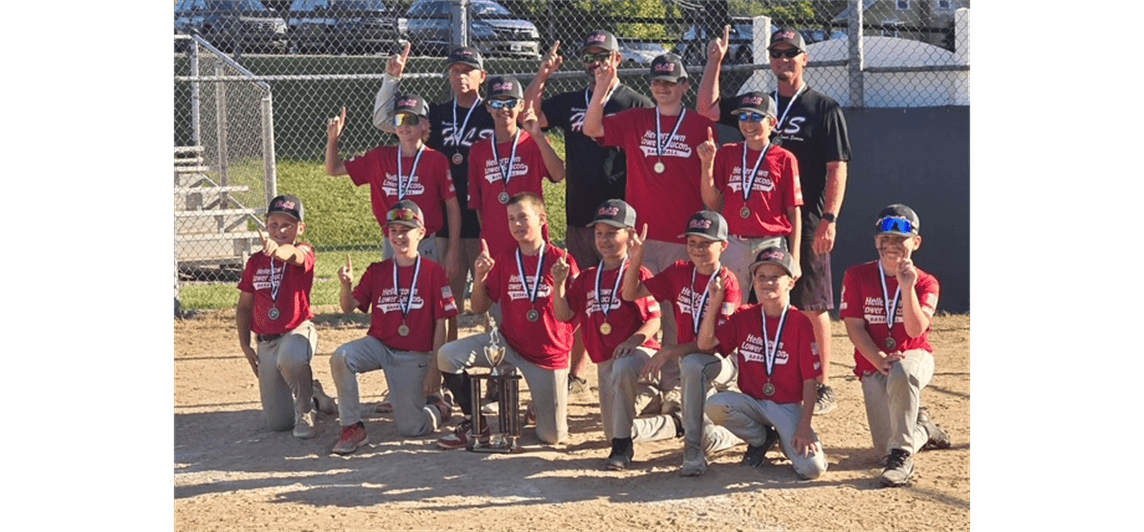 Hellertown Lower Saucon Little League photo