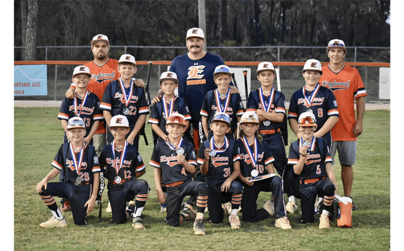 Englewood Area Youth Baseball photo