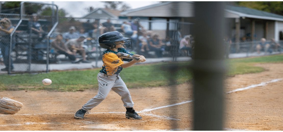 Hanover Area Little League photo