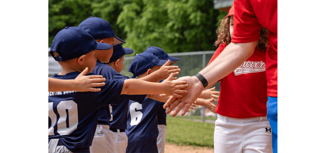 Hanover Area Little League photo