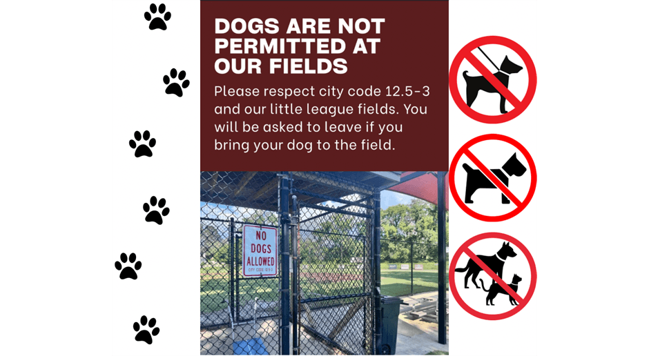 No Dogs Allowed