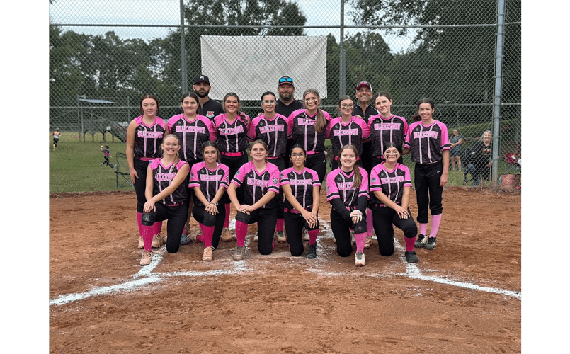 Walkertown Little League photo