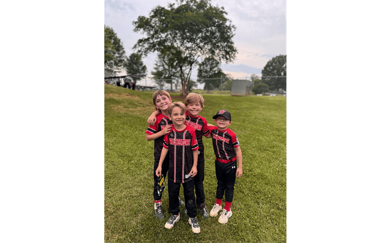 Walkertown Little League photo