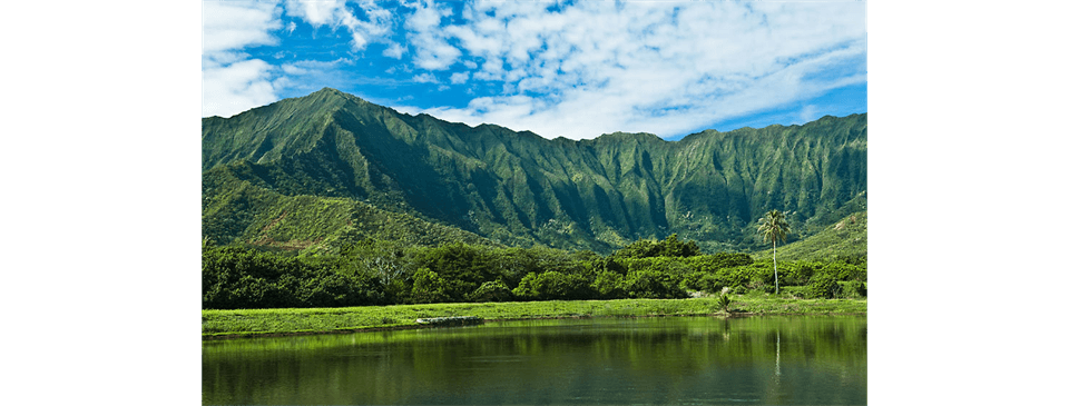 Home of Kahalu'u Little League