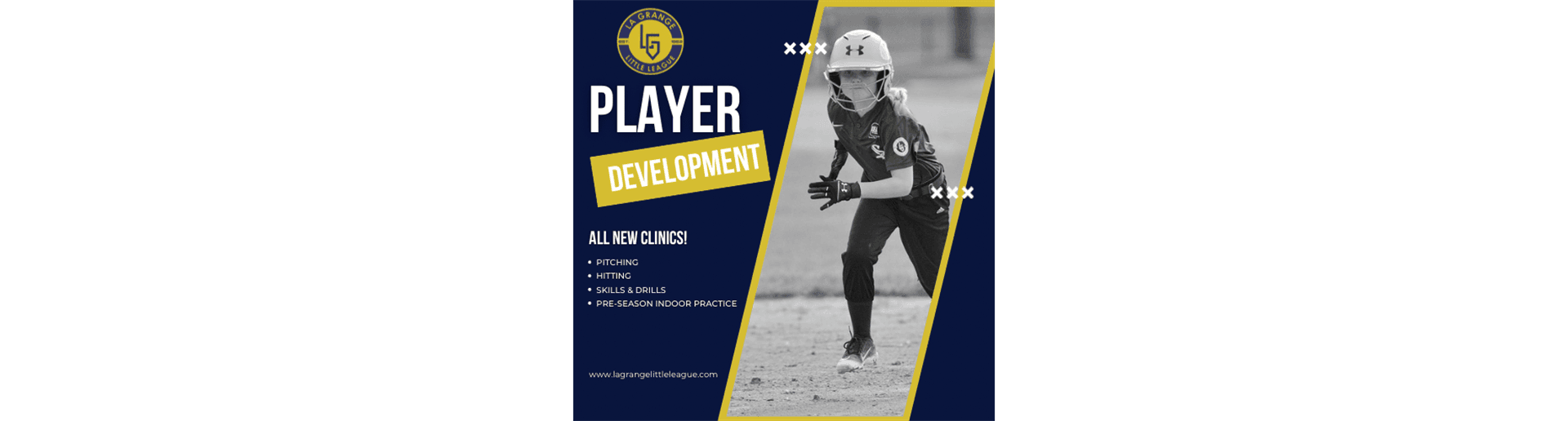 Softball Hitting Clinics