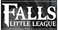 Falls Little League hero
