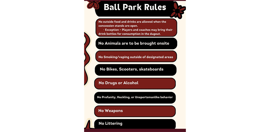 Ballpark Rules