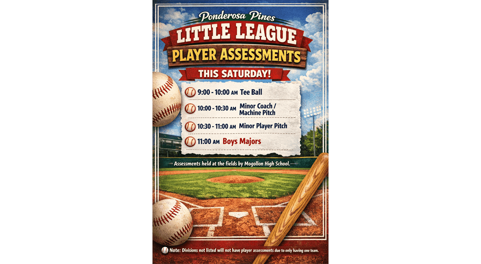 PLAYER ASSEMENTS