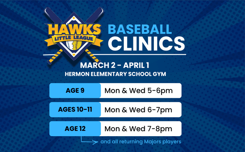 Baseball Clinics