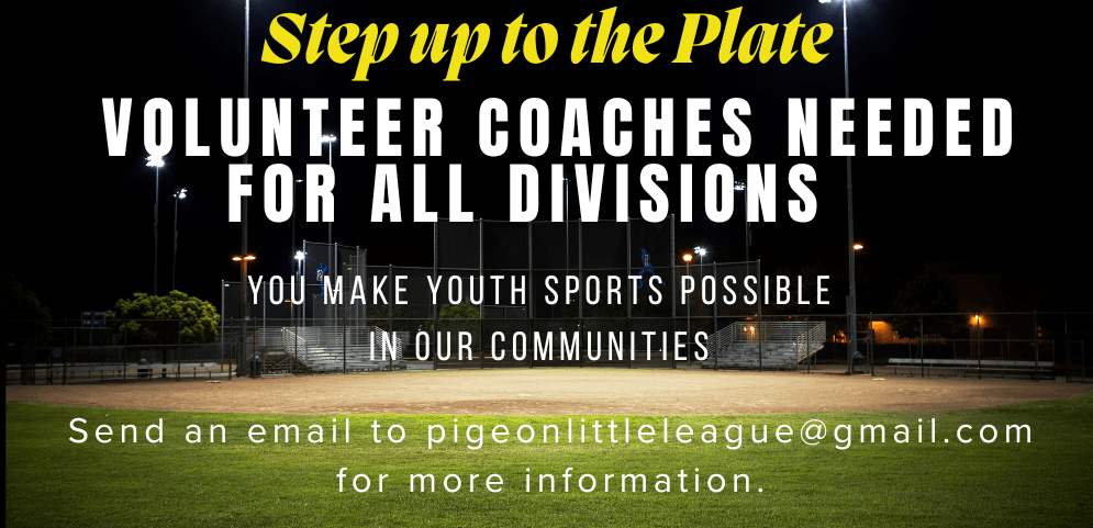 Pigeon Little League photo