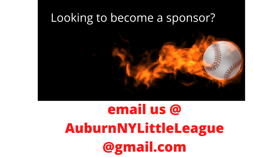 SPONSORSHIP OPPORTUNITIES