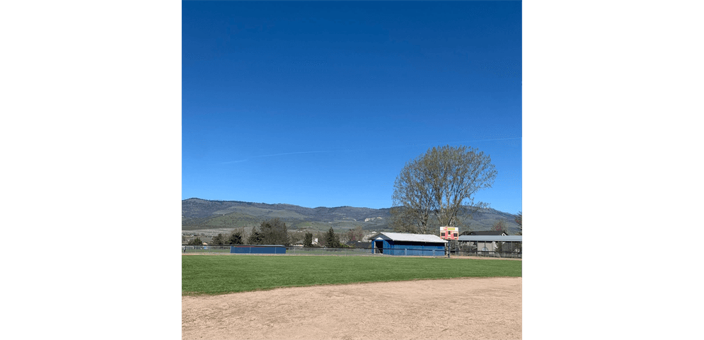 Phoenix Talent Little League photo