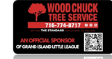 Sponsor logo