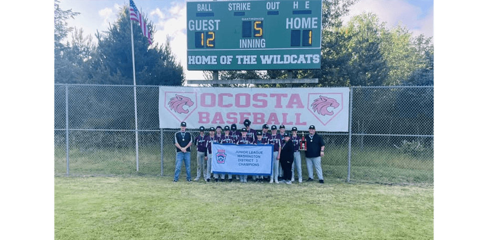 Junior League District 3 Champions