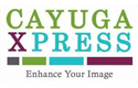 Sponsor logo