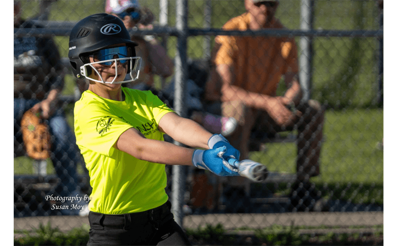 Roscommon-St. Helen Little League photo