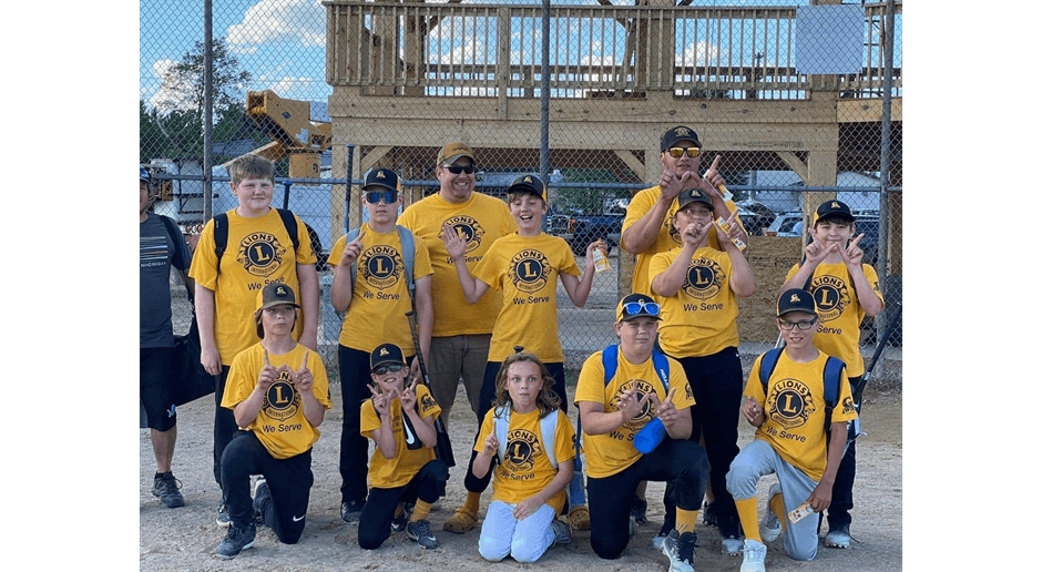 Gwinn Little League photo